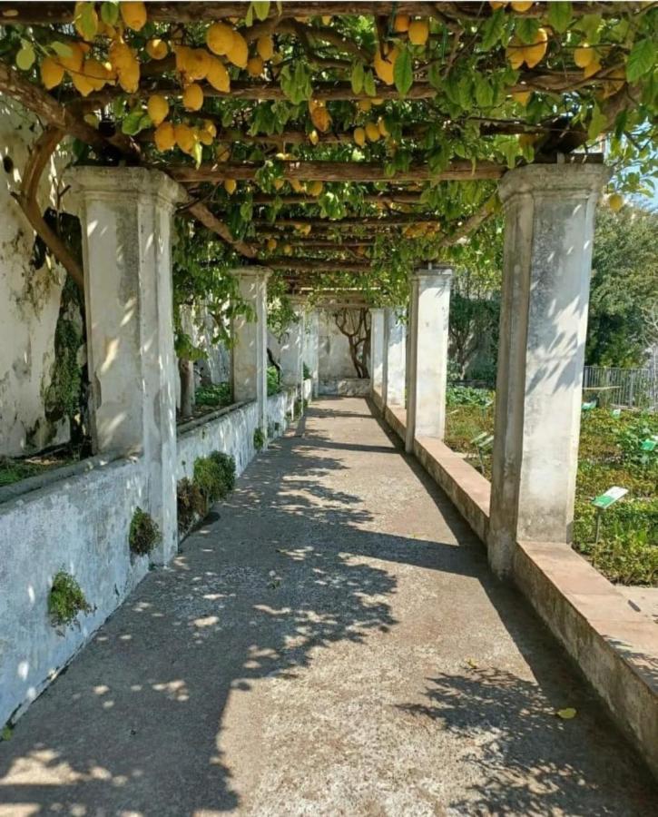 Salifornia Casa Vacanze Apartment Salerno Luaran gambar